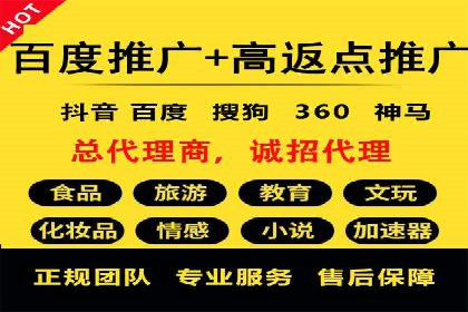 SEM代理助力品牌：案例解析，优化策略全揭秘